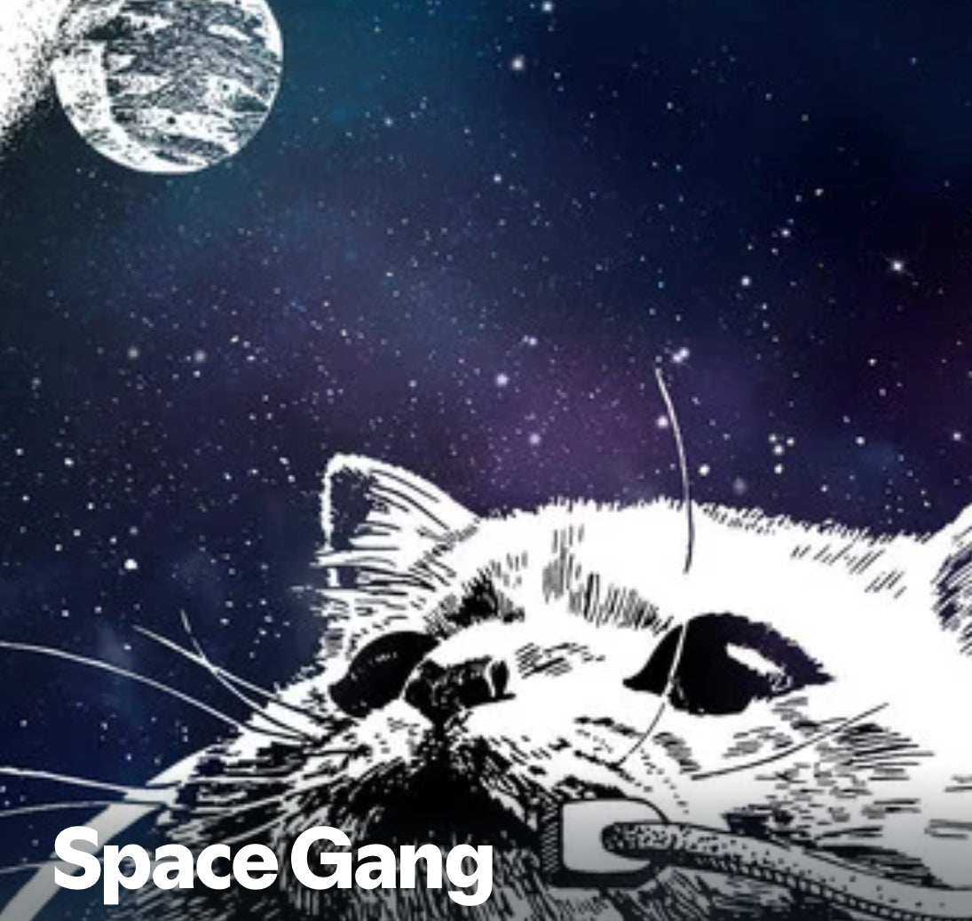 Space Gang