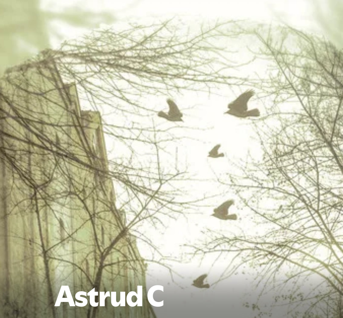 Astrud C